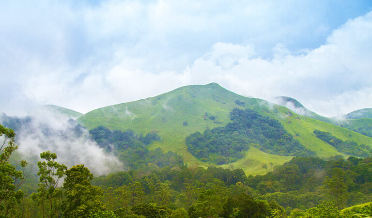 Brahmagiri Trek - Wayanad Coffee Trail